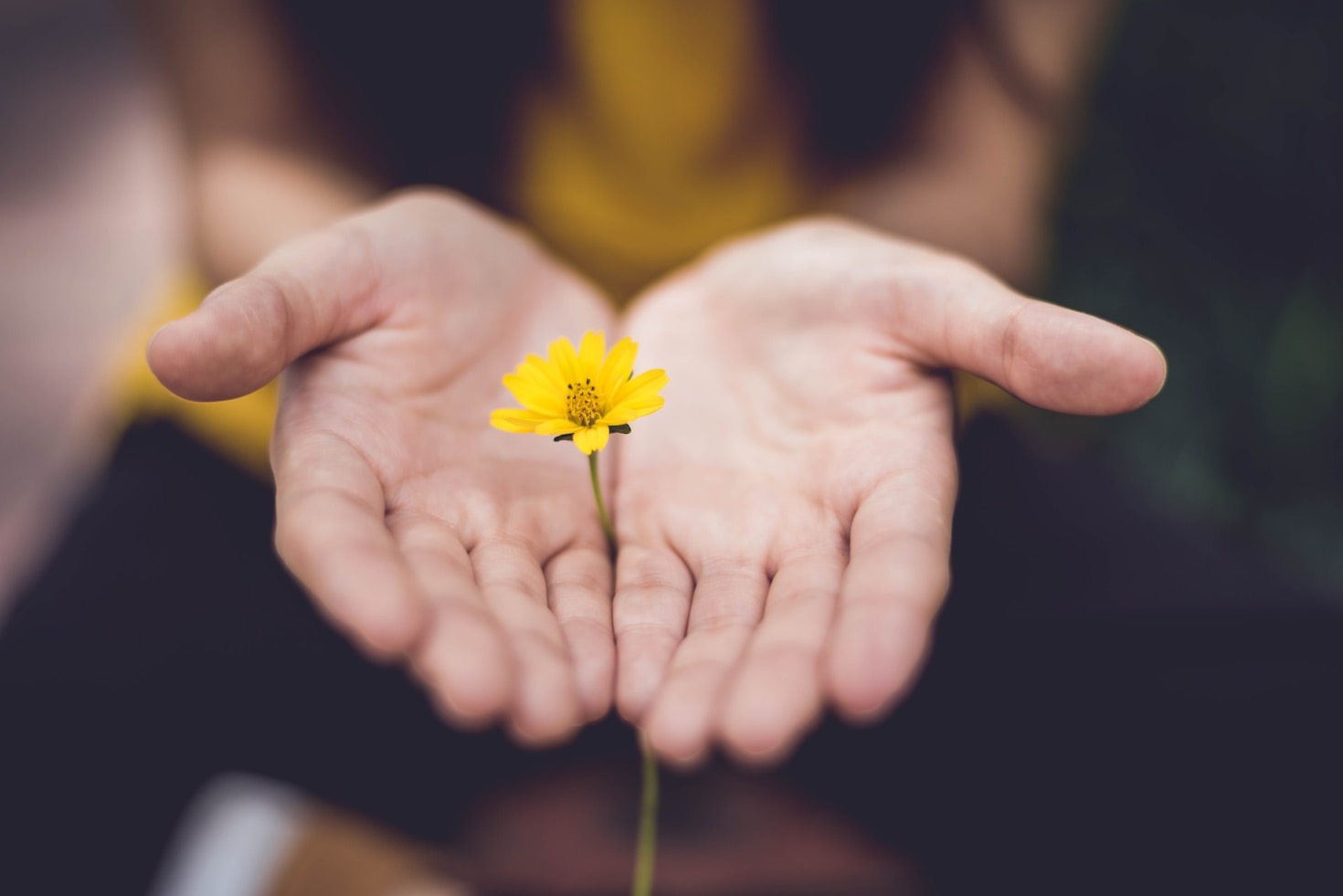 Self-Care Rituals for a Radiant Glow